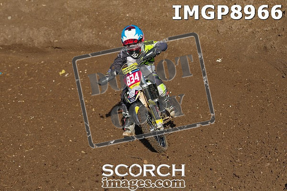 IMGP8966