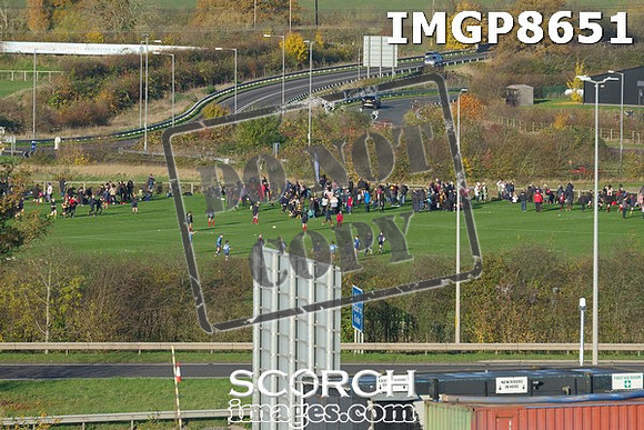 IMGP8651