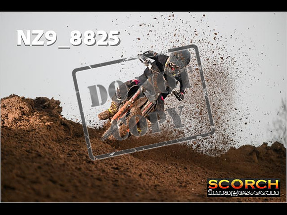 Experts-118