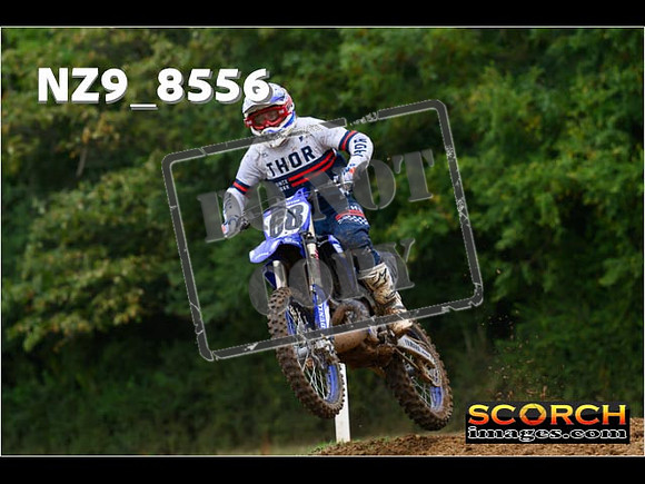 Experts-102