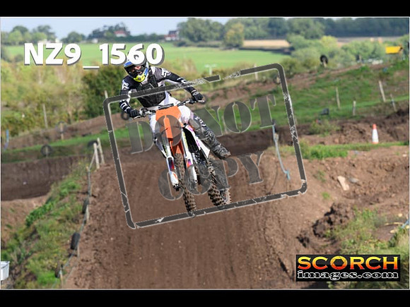 Experts-243