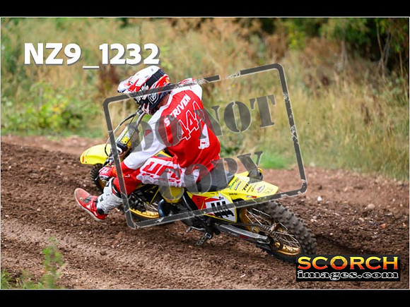 Experts-110