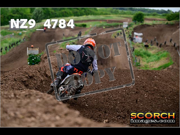 Experts-081