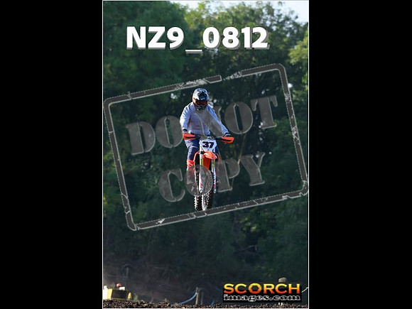 Experts-028