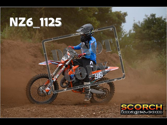 Experts-113