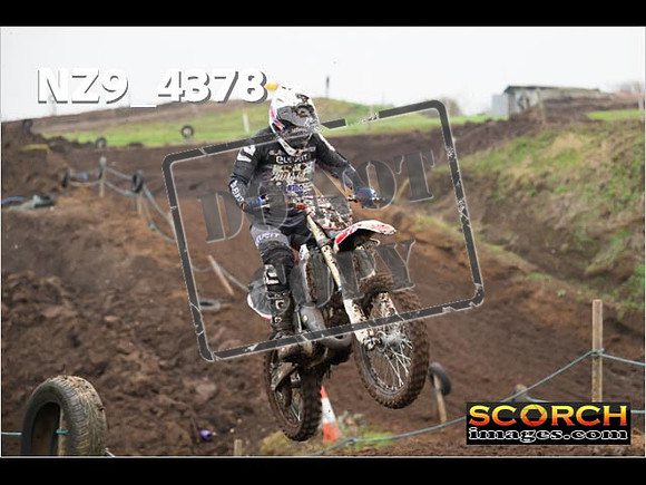 Experts-224