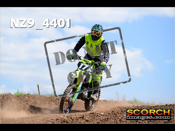 InterGreen-300