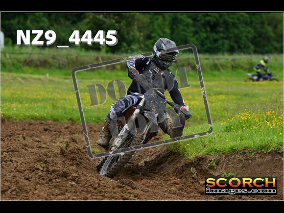 Experts-164