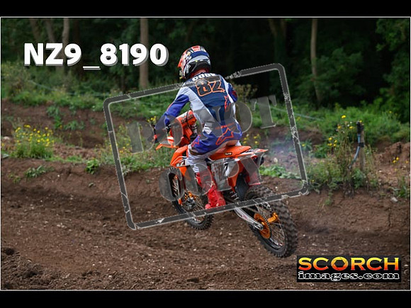 Experts-127