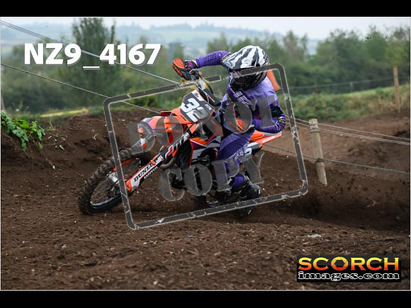IntersGreenOrange-142