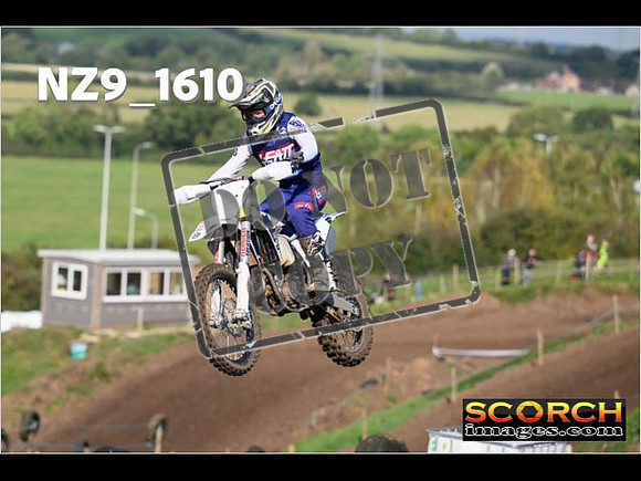 Experts-291