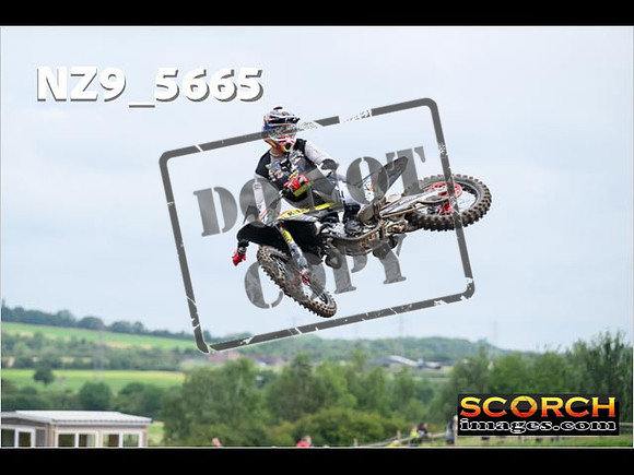 Experts-069
