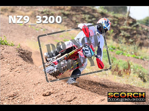 Experts-017