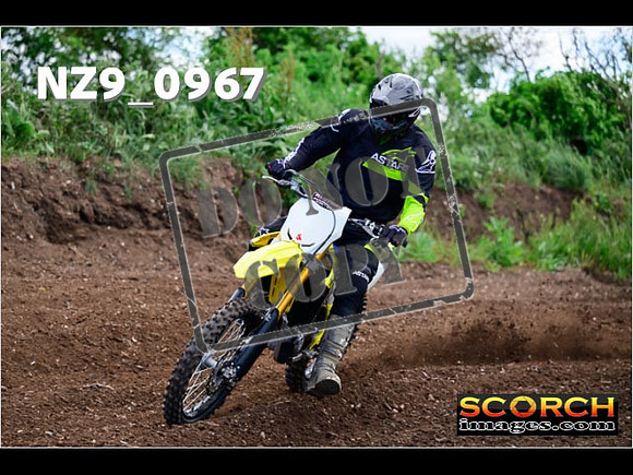 IntersGreen-032