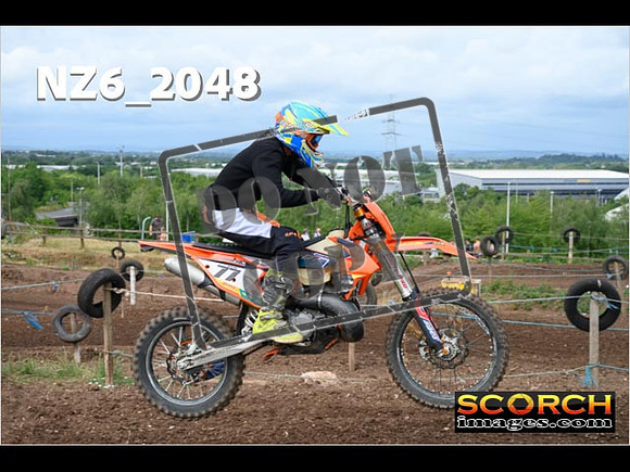 IntersGreen-077