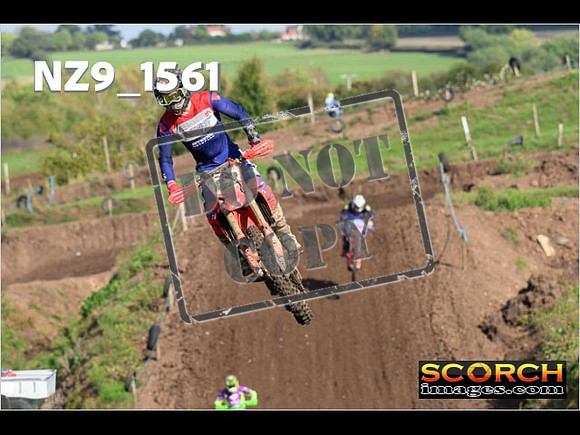 Experts-244