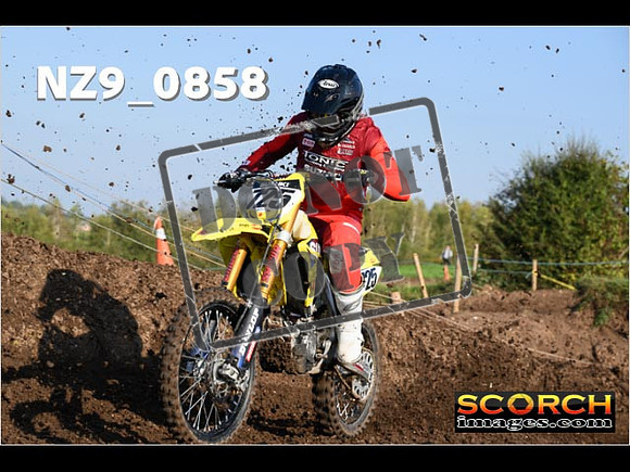 Experts-073