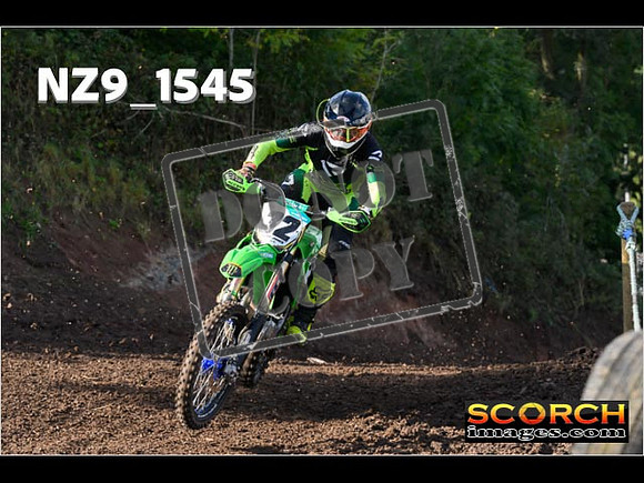 Experts-229