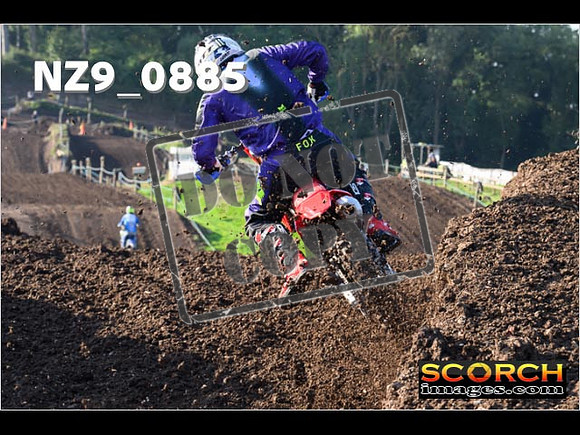 Experts-098