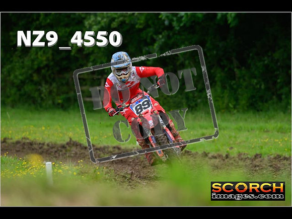 Experts-267