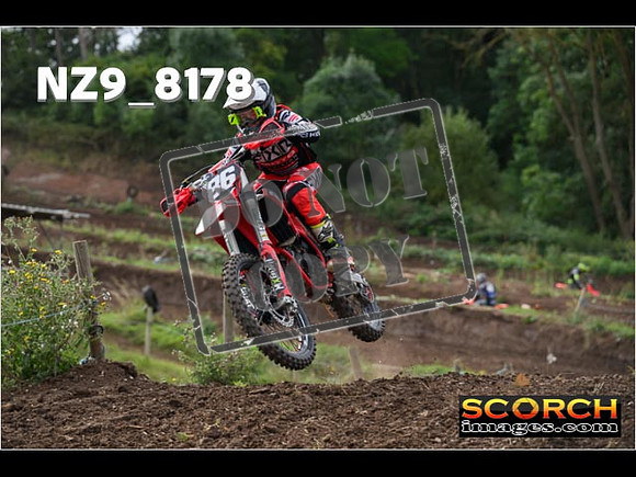 Experts-116
