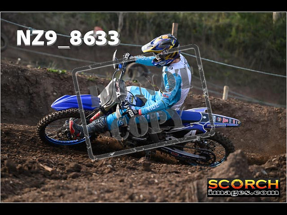 Experts-041