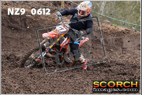 Experts-053