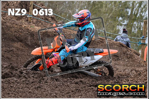 Experts-054