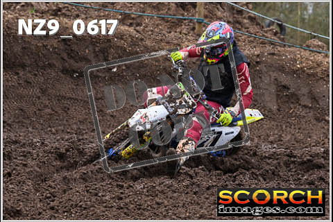 Experts-058