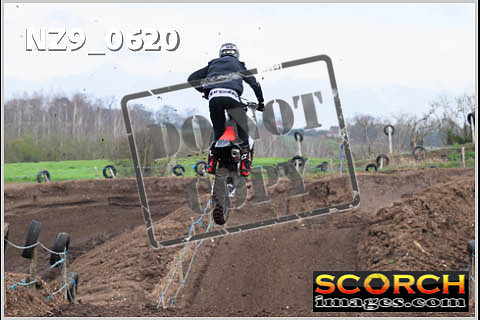 Experts-061