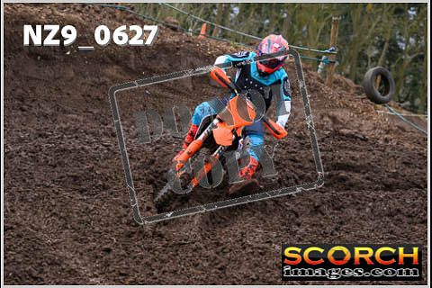 Experts-068