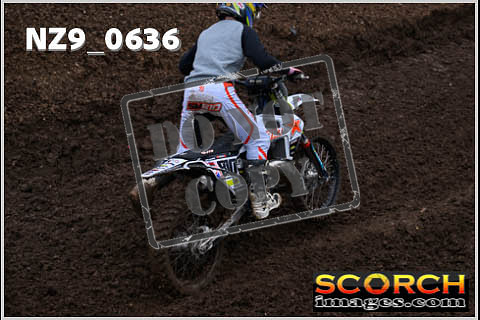 Experts-077