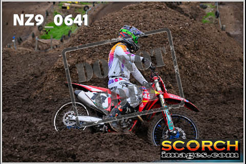 Experts-082