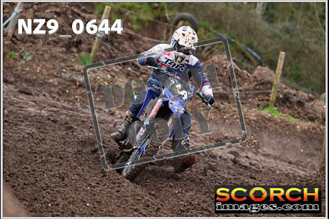 Experts-085