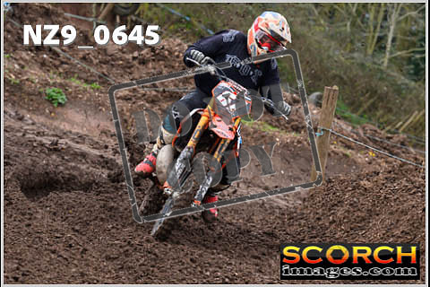 Experts-086