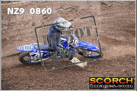 Experts-106