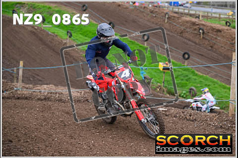 Experts-111