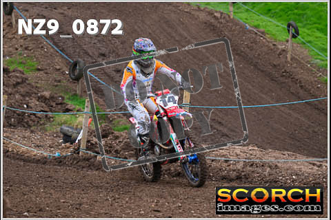 Experts-118