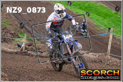 Experts-119