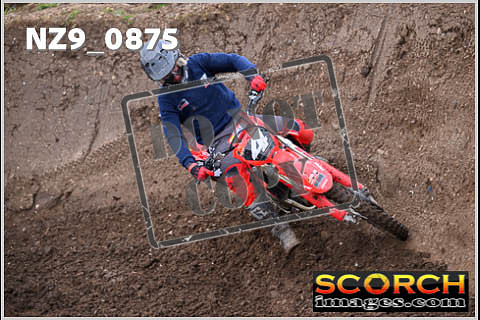 Experts-121