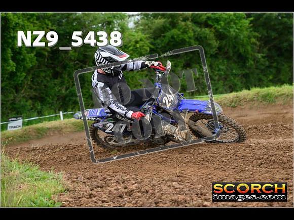 Experts-369