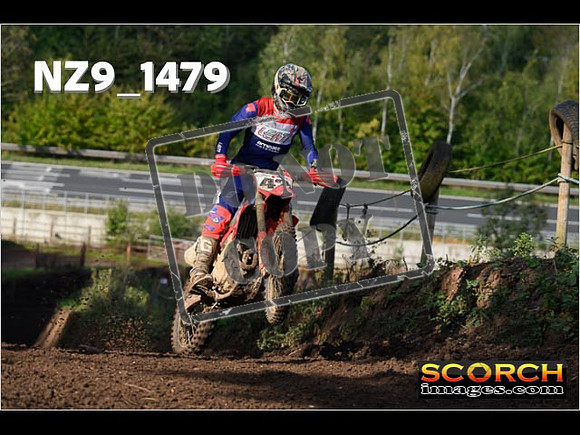 Experts-174