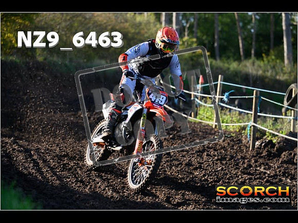 Experts-074
