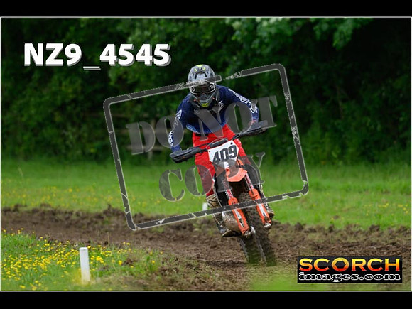 Experts-262