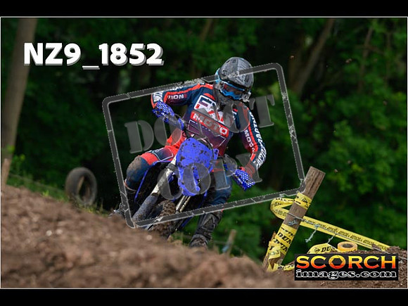 Experts-072