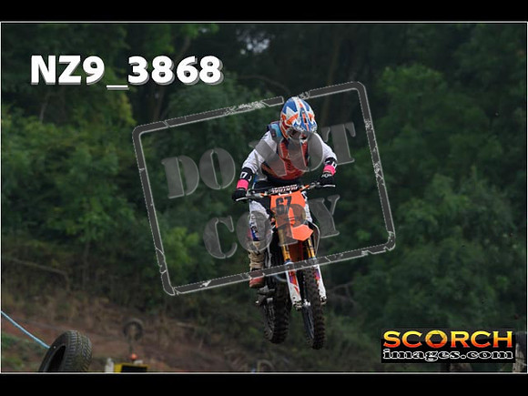 Experts-137