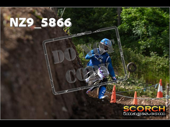Experts-115
