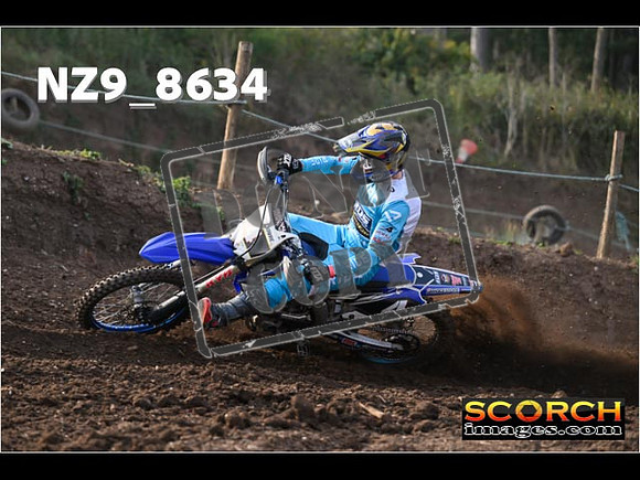 Experts-042