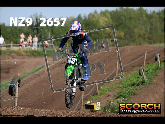 IntersGreenOrange-057