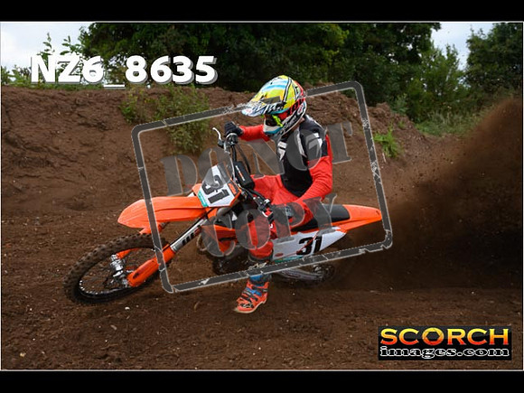 Experts-046